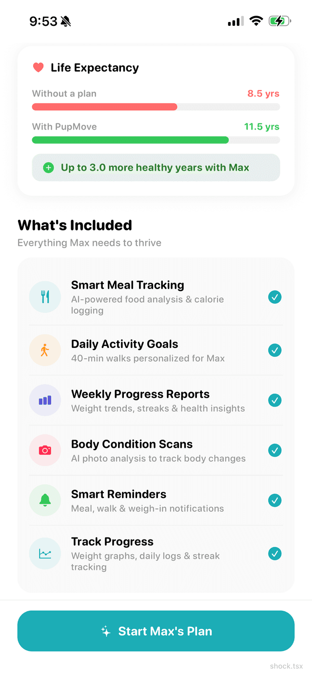 A daily plan built just for your dog