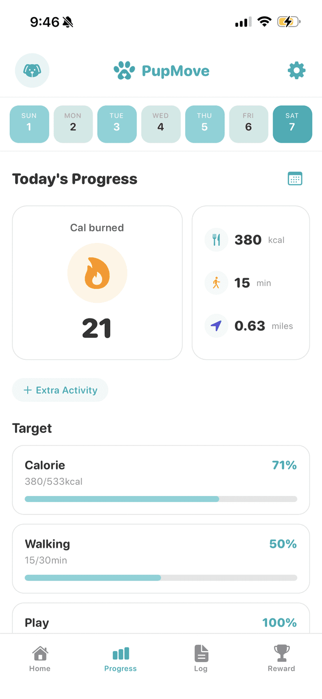 Track activity and tasks to stay on track